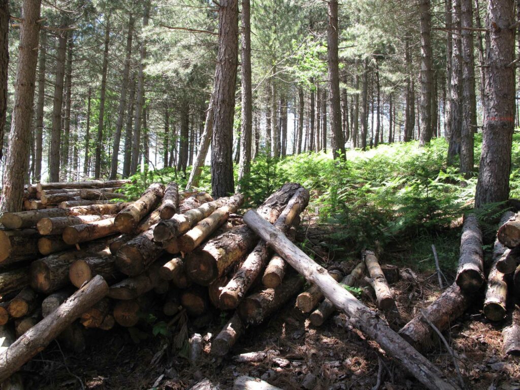 Bois énergie Col de Jalcreste - SDEE Lozère